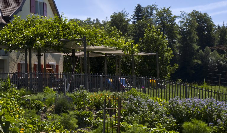 Vaison-la-Romaine – Deux bébés retrouvés morts sur une terrasse, une mère soupçonnée d’un drame inimaginable